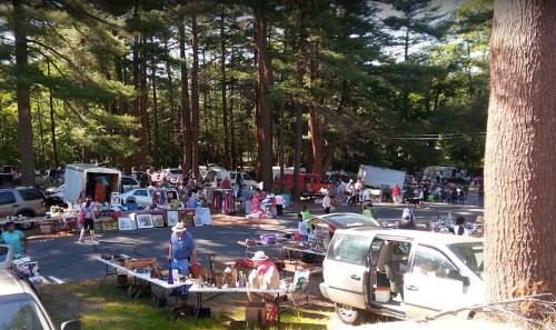 A bustling outdoor flea market with vendors, shoppers, and various items for sale among tall trees.