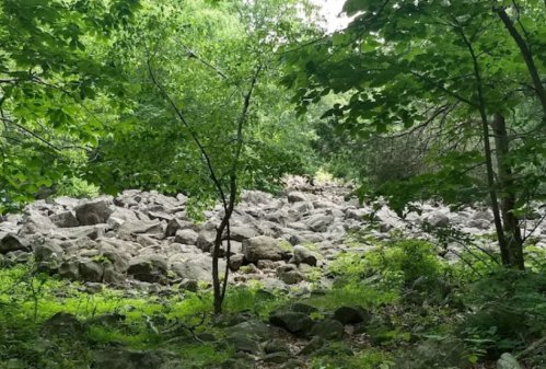 A rocky landscape surrounded by lush green trees and foliage, with a path leading through the natural setting.