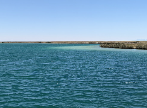 A serene body of water with a clear blue hue, bordered by grassy land under a clear sky.