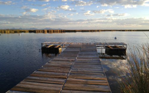 A wooden dock extends over calm water, surrounded by tall grasses and distant mountains under a cloudy sky.