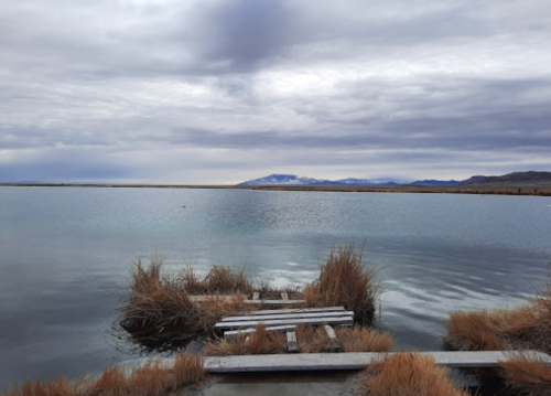 A calm lake surrounded by tall grasses, with a wooden dock leading into the water under a cloudy sky.