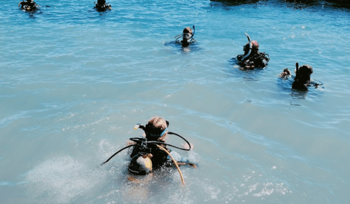 Divers in scuba gear exploring underwater in a clear blue ocean.