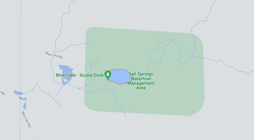 Map showing Blue Lake Scuba Dock and Salt Springs Waterfowl Management Area, with surrounding green space.