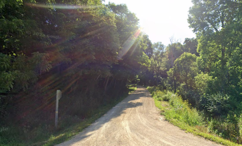 A sunlit dirt road surrounded by lush green trees and foliage on either side.