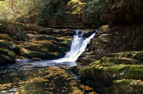 A serene waterfall cascades over mossy rocks, surrounded by autumn foliage and a tranquil pool of water.