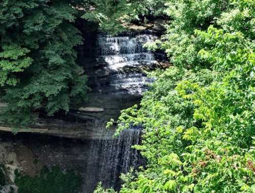 A serene waterfall cascading down rocky cliffs, surrounded by lush green foliage.