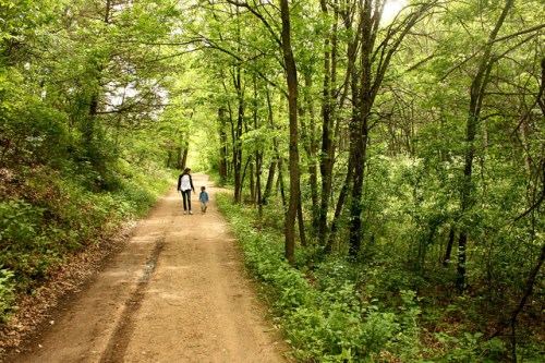 A parent and child walk hand in hand along a dirt path surrounded by lush green trees.