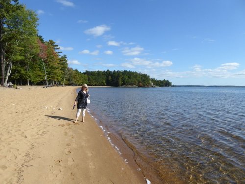 A woman walks along a sandy beach by a calm lake, surrounded by trees and a clear blue sky.
