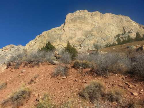 A rocky mountain rises against a clear blue sky, with sparse vegetation and dry terrain in the foreground.