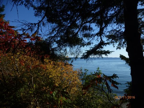 A serene view of calm water framed by trees and colorful autumn foliage under a clear blue sky.