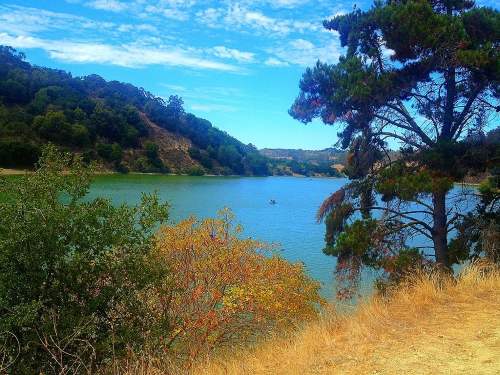 A serene lake surrounded by trees and hills under a blue sky with scattered clouds.