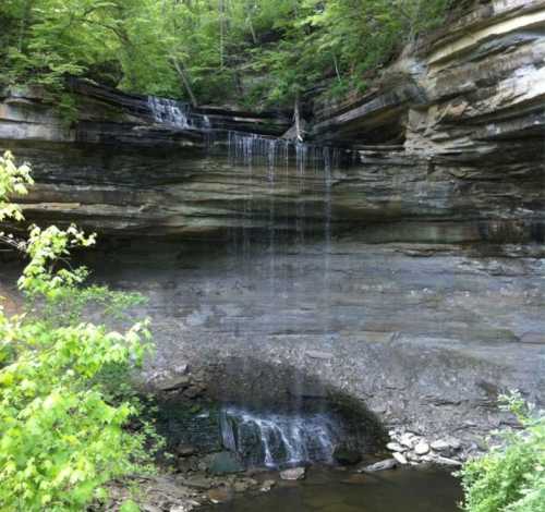 A serene waterfall cascading down rocky cliffs, surrounded by lush green foliage and a tranquil stream below.