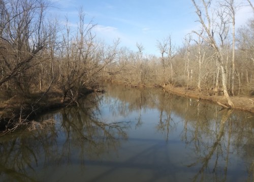 A calm river flows through a barren landscape, with bare trees reflecting on the water's surface under a clear sky.