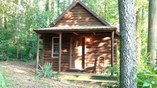 A small wooden cabin nestled in a lush green forest, surrounded by trees and plants.