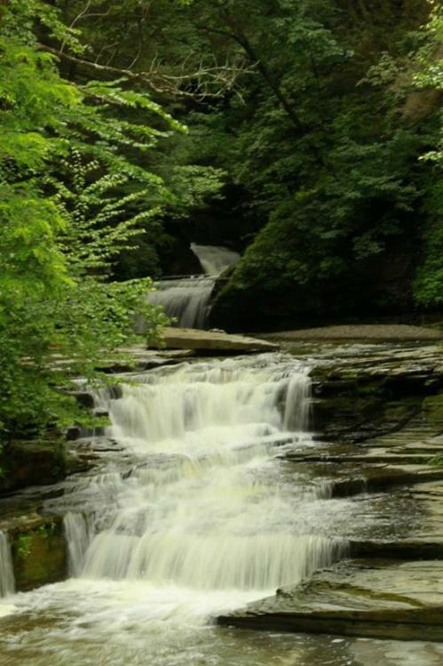 A serene waterfall cascades over rocky steps, surrounded by lush green foliage in a tranquil forest setting.