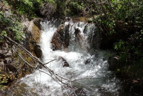 A small waterfall cascades over rocks, surrounded by lush greenery and trees in a serene natural setting.