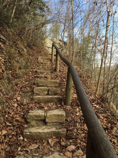 Stone steps lead up a wooded trail, lined with a wooden railing and surrounded by fallen leaves and trees.