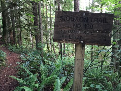 Wooden sign for Siouxon Trail No. 130, surrounded by lush greenery and ferns in a forested area.