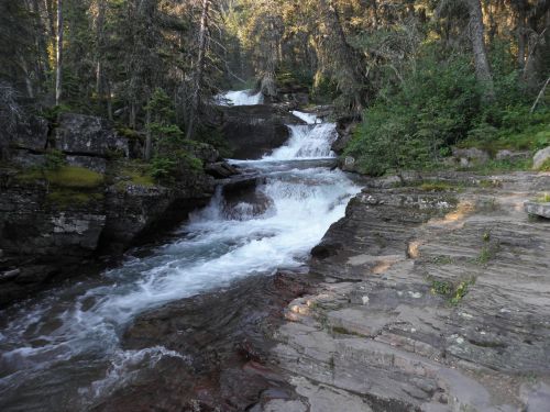 A serene forest scene featuring a flowing river cascading over rocky terrain, surrounded by lush greenery.