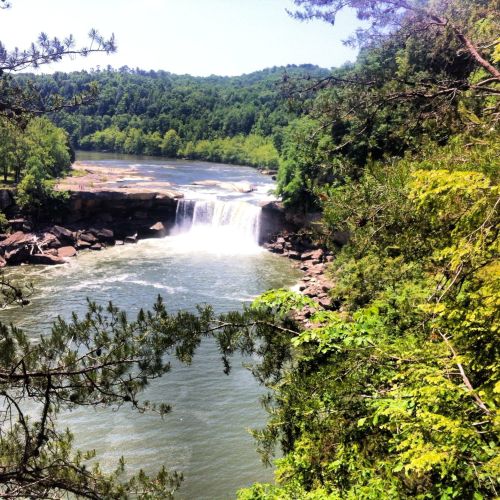 A scenic view of a waterfall cascading into a river, surrounded by lush green trees and hills.