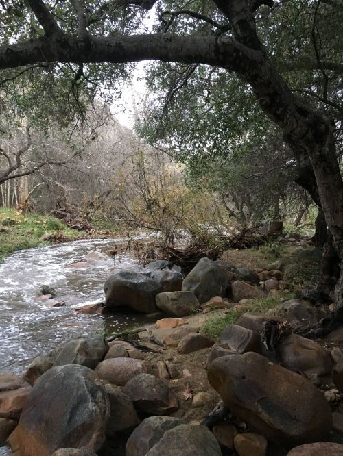 A serene stream flows through a rocky landscape, surrounded by trees and lush greenery.