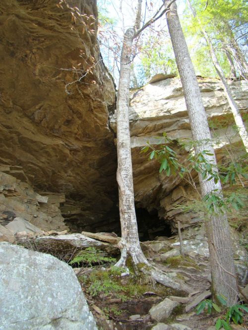 A rocky cave entrance surrounded by trees and greenery, with a large overhanging rock formation above.