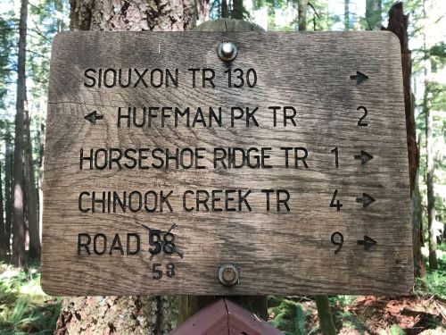 Wooden trail sign in a forest, listing distances to various trails and a road, with arrows indicating directions.