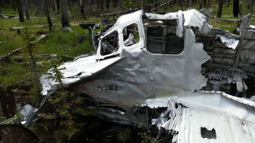 Wreckage of a silver aircraft partially submerged in a forested area, surrounded by greenery and trees.