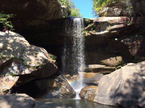 A serene waterfall cascades over rocks into a clear pool, surrounded by lush greenery and sunlight.