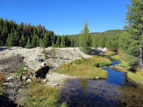 A serene landscape featuring a clear stream surrounded by lush greenery and trees under a bright blue sky.