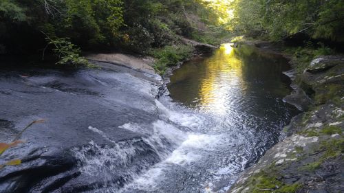 A serene river flows over rocks, surrounded by lush greenery and dappled sunlight filtering through the trees.