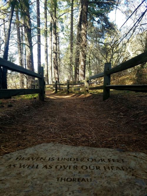 A forest path lined with wooden fences, featuring a stone with a quote by Thoreau about heaven.