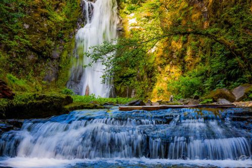 A serene waterfall cascades over rocks into a clear stream, surrounded by lush greenery and vibrant moss.