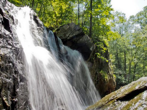 A cascading waterfall flows over rocky terrain, surrounded by lush green trees in a serene forest setting.