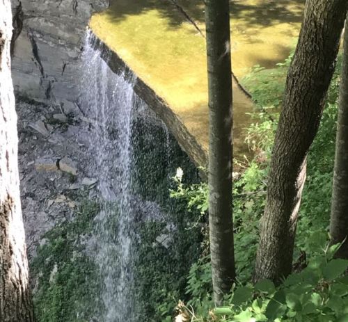 A waterfall cascading over a rocky cliff, surrounded by trees and lush greenery.