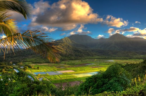 Lush green fields and mountains under a blue sky with clouds, showcasing a serene landscape at sunset.