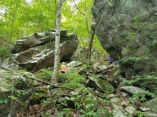 Two people explore a rocky, wooded area with large boulders and lush green foliage surrounding them.