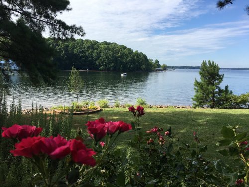 A serene lakeside view with lush green trees, a boat in the distance, and vibrant pink roses in the foreground.