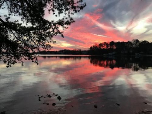 A serene lake at sunset, reflecting vibrant pink and orange clouds with trees framing the scene.