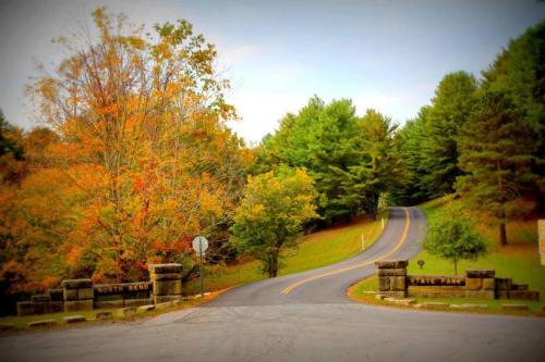 A winding road surrounded by vibrant autumn trees, leading into a lush green landscape.