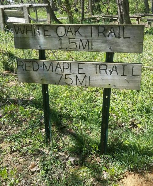 Two wooden trail signs in a forest: "White Oak Trail 1.5 MI" and "Red Maple Trail 0.75 MI." Green surroundings.