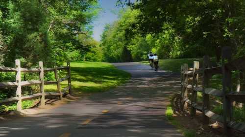 A cyclist rides along a tree-lined path with wooden fences on either side, surrounded by lush greenery.