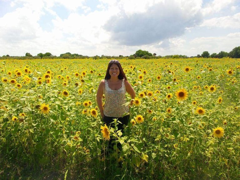 The Quiet Wonder Of A Sunflower Sea