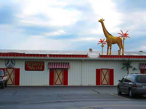 A building with a sign reading "Trader's World" and a large giraffe statue on the roof, under a cloudy sky.