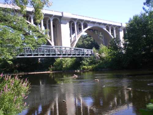 A scenic view of a bridge over a calm river, surrounded by lush greenery and a clear blue sky.