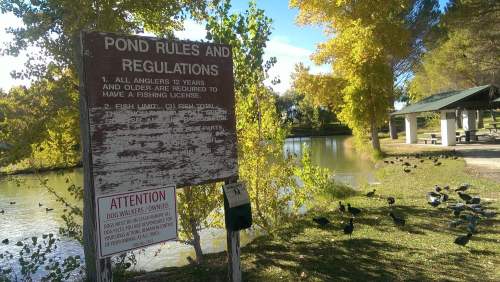 Sign with fishing rules by a pond, surrounded by trees with autumn foliage and a picnic area in the background.