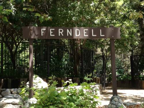 Sign reading "FERNDELL" surrounded by greenery and trees in a natural setting.