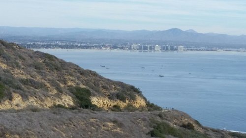 A coastal view from a hillside, featuring calm waters and distant buildings under a clear sky.
