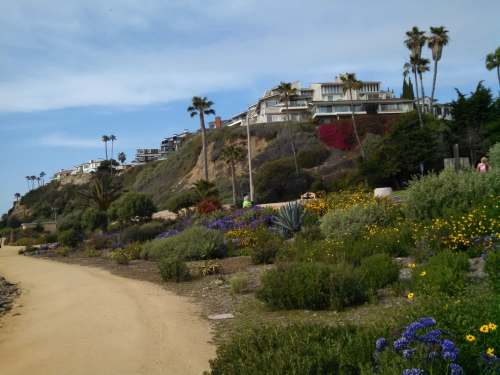 A scenic coastal path lined with colorful flowers, leading to hillside homes and palm trees under a blue sky.