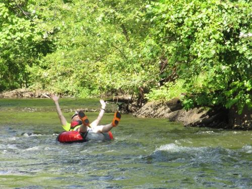 A person in a red inner tube floats on a river, surrounded by lush green trees, with arms raised in joy.